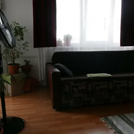 The Painter's Studio Kolozsvár