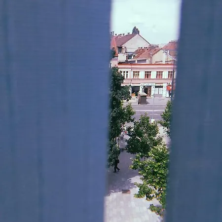 The Painter's Studio Kolozsvár